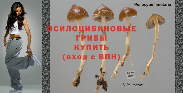 каннабис Баксан